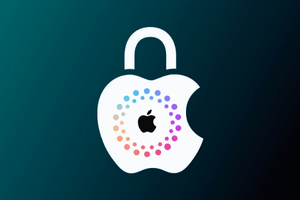 #217 Apple iPhone/iPad FMI On/OFF & iCloud Status (CELLULAR INFO)